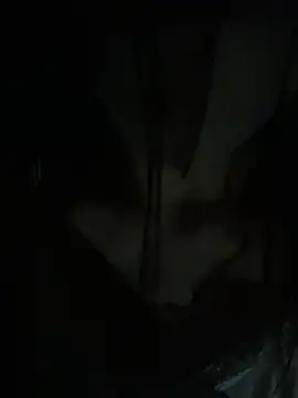 n n mao online show from September 20, 3:32 pm