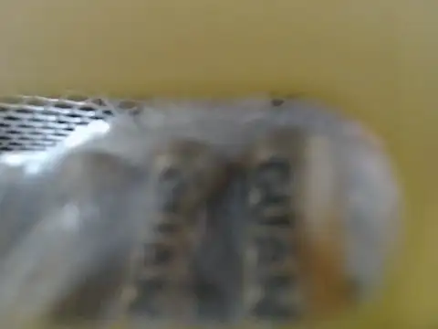 lovense test04 online show from November 12, 2:37 pm