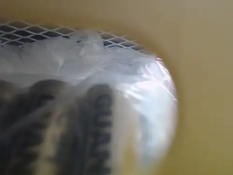 lovense test04 online show from October 16, 3:53 am