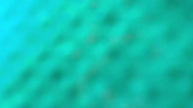 BarbaraTurners online show from September 14, 11:30 am