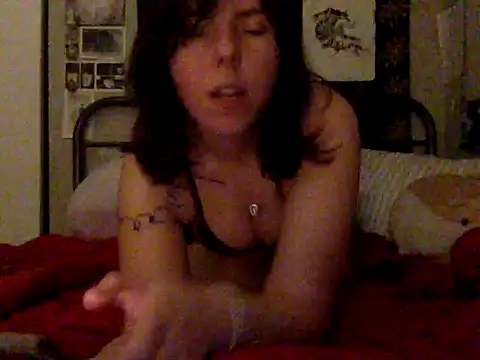 lanaspeltbackward online show from February 19, 4:34 am