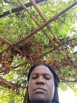 missarpie online show from January 15, 11:38 am