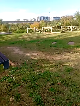 blackhotpartyts online show from October 12, 3:14 pm