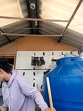 rebekka simpson online show from October 16, 4:09 pm