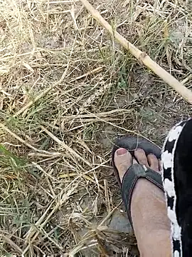 Miss Ayesha online show from April 12, 11:13 am