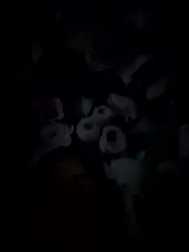 Techno sex  online show from January 14, 9:31 pm