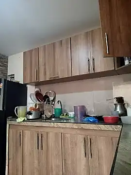 brigitht online show from January 14, 7:19 pm