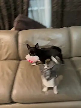 Kimsweet7 online show from November 16, 6:41 pm