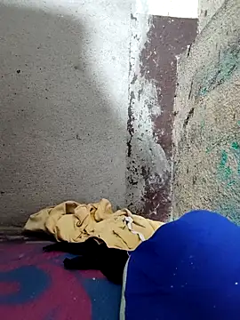 Gautami-telugu online show from October 8, 12:15 am