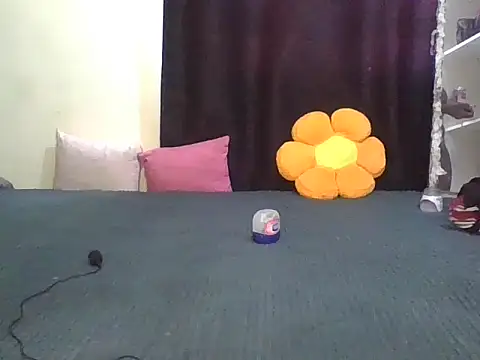 wildnastia online show from April 6, 4:57 am