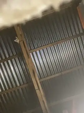 chiamonzon777 online show from December 21, 9:41 pm