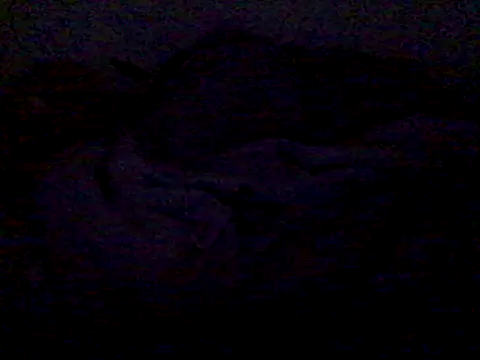  bahya online show from September 14, 12:30 am