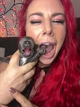 redxxxvixen online show from February 5, 10:46 pm