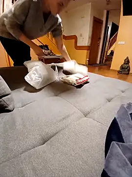 paradise777777 online show from November 27, 3:37 pm