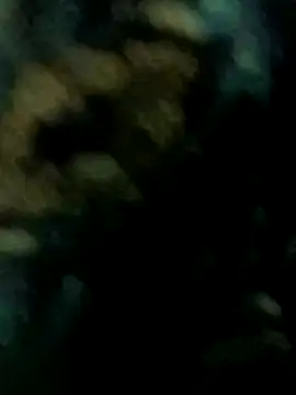 whvysky3 online show from December 21, 6:34 pm