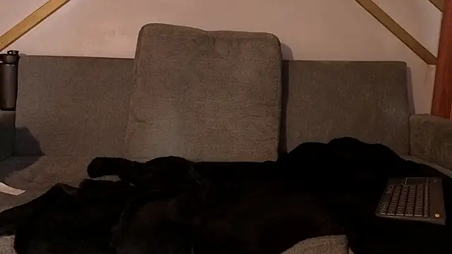 Emma gatess online show from November 29, 12:42 pm