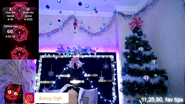 Bunny O online show from November 26, 10:11 pm