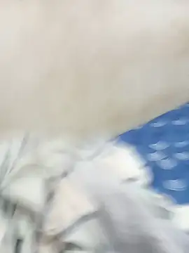 ambarlennoix online show from September 28, 8:08 am