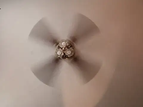 lilbishmiss online show from November 19, 4:40 pm