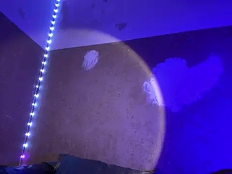 saint cat25 online show from March 27, 10:43 pm