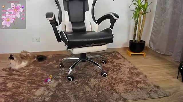 SophieBaker   online show from November 11, 5:14 am