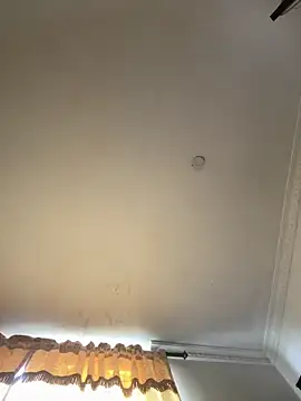 pawmistry online show from April 13, 7:58 pm