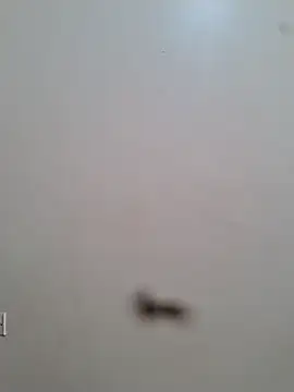 BriannaVincent online show from January 8, 8:40 am