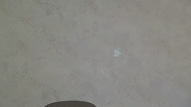 StarandMoon online show from July 18, 5:48 pm
