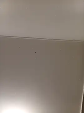 bbferlinaa online show from March 15, 4:03 am