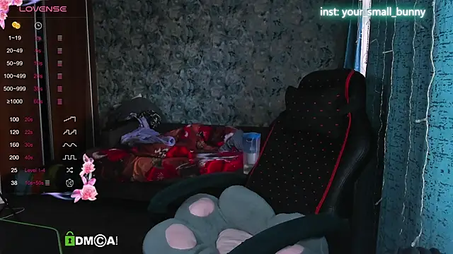 Your small bunny online show from September 30, 2:50 am