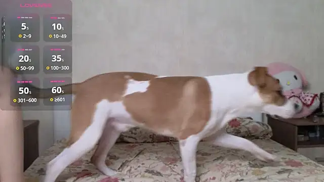 Betty Blamee online show from October 2, 10:20 am