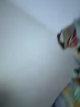 SweetBonniie online show from November 3, 12:03 am