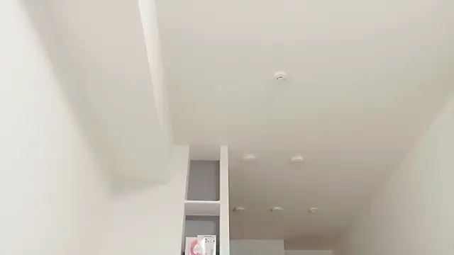 IORio2 online show from December 3, 12:24 am