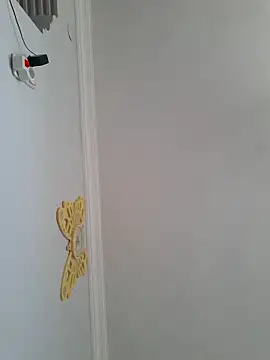 Rokkya online show from February 4, 6:38 am