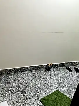 Saroj-Shah online show from February 3, 3:15 am