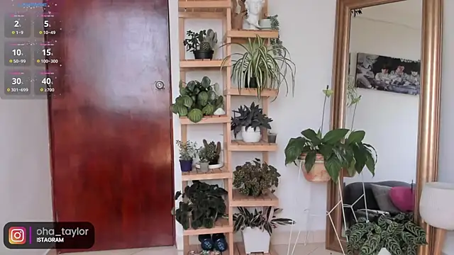 Johaphyton online show from December 5, 9:16 pm