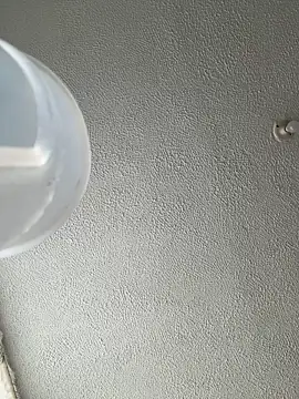 ariiel  online show from January 14, 3:28 pm