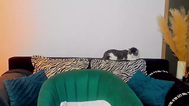 rora skyline online show from March 5, 1:18 pm