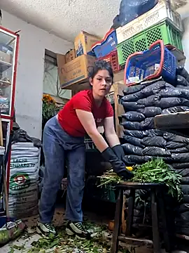 nidia2026 online show from October 27, 3:07 pm