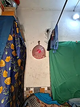 Real Desi Couple online show from June 7, 6:04 pm
