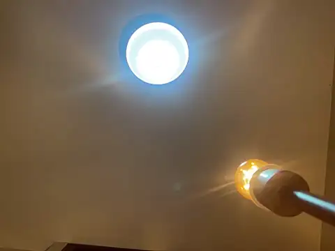 NikkelSofia online show from December 1, 2:09 pm