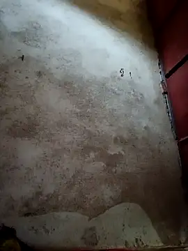 Pooja cut online show from November 2, 3:43 am