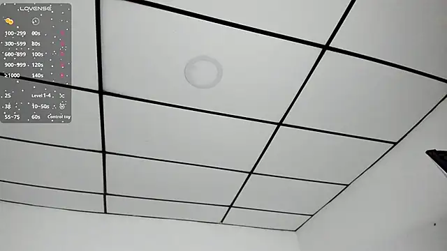 kathy bakerr online show from November 22, 1:36 pm