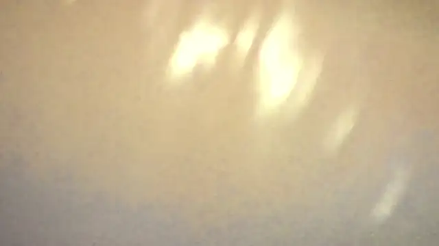 petina online show from January 15, 6:36 pm