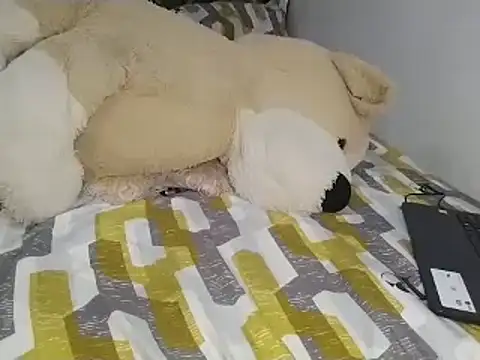 Snapshot of Chandy012 chatting on September 28, 1:49 pm Chandy012 online show from September 28, 1:49 pm