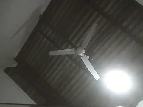 Akira world online show from December 4, 3:46 pm