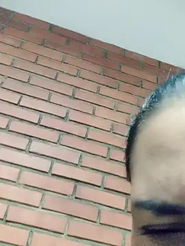 dulce 696 online show from October 6, 4:23 pm