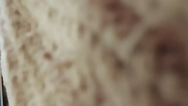 Elise Nyx online show from September 27, 2:24 pm