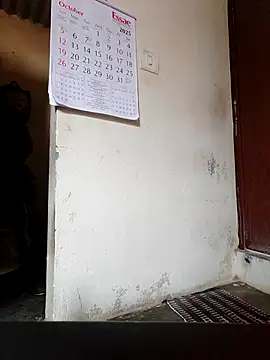 pallu telgu kannada online show from October 14, 11:13 am