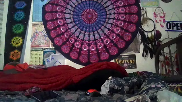 GardeniaFields online show from February 18, 8:46 am